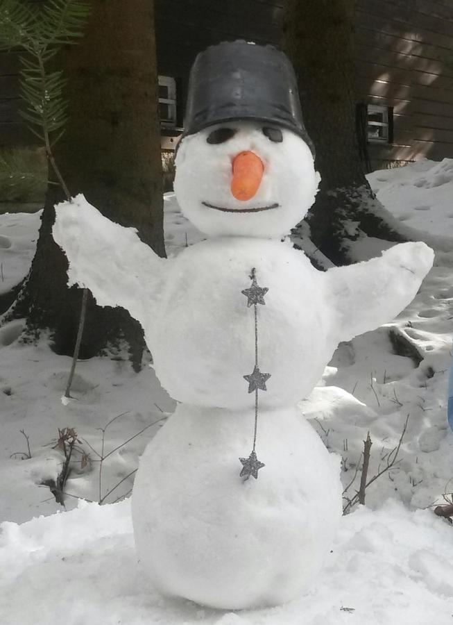 Dame Vam Pokoj - 4 Pokoje Se Sdilenou Kuchyni, Kapacita Max 9 Osob Harrachov Exterior foto