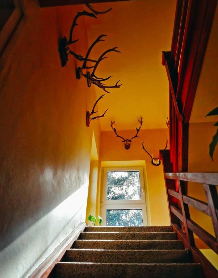 Dame Vam Pokoj - 4 Pokoje Se Sdilenou Kuchyni, Kapacita Max 9 Osob Harrachov Exterior foto