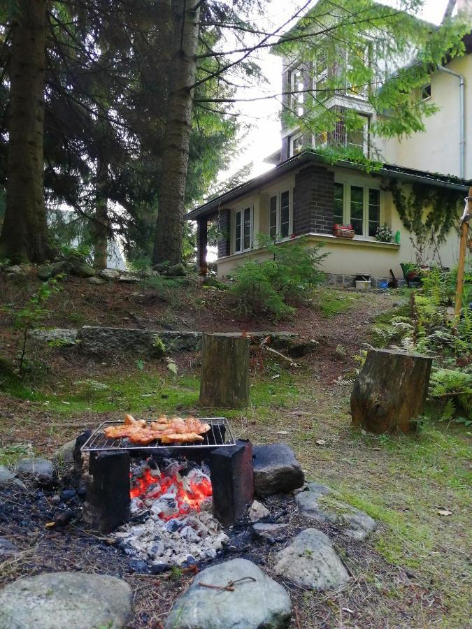 Dame Vam Pokoj - 4 Pokoje Se Sdilenou Kuchyni, Kapacita Max 9 Osob Harrachov Exterior foto