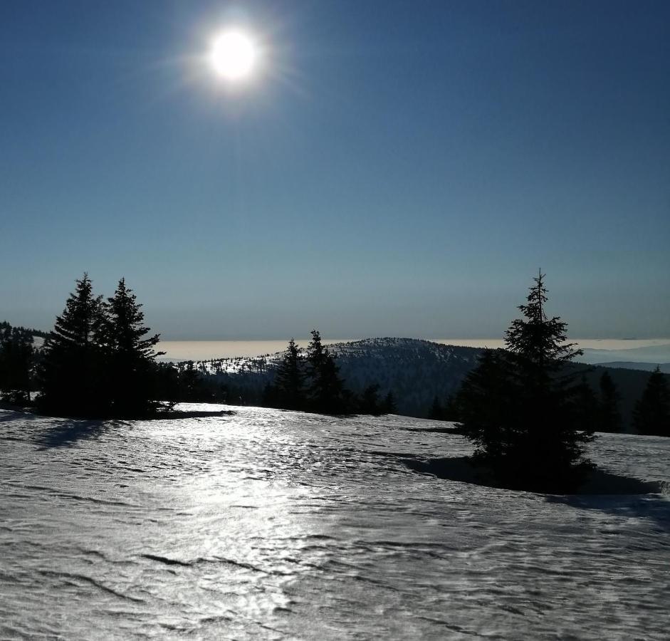 Dame Vam Pokoj - 4 Pokoje Se Sdilenou Kuchyni, Kapacita Max 9 Osob Harrachov Exterior foto