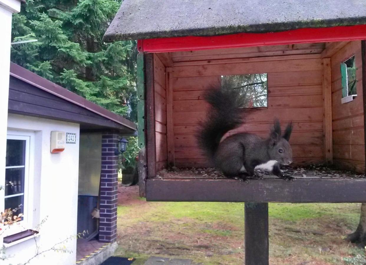Dame Vam Pokoj - 4 Pokoje Se Sdilenou Kuchyni, Kapacita Max 9 Osob Harrachov Exterior foto