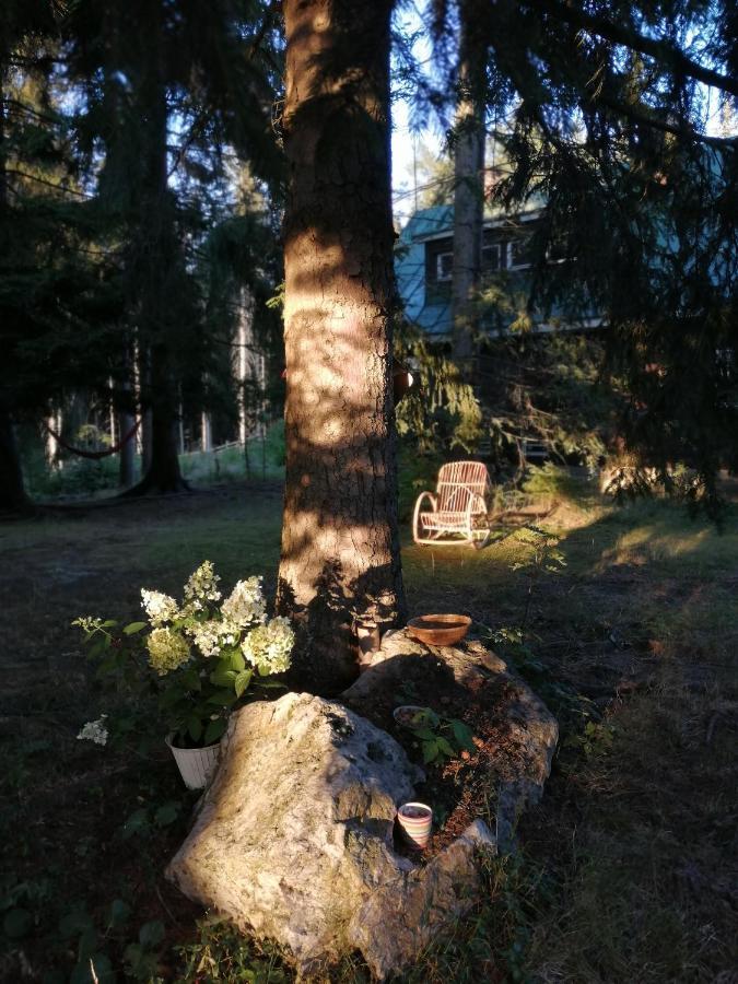Dame Vam Pokoj - 4 Pokoje Se Sdilenou Kuchyni, Kapacita Max 9 Osob Harrachov Exterior foto
