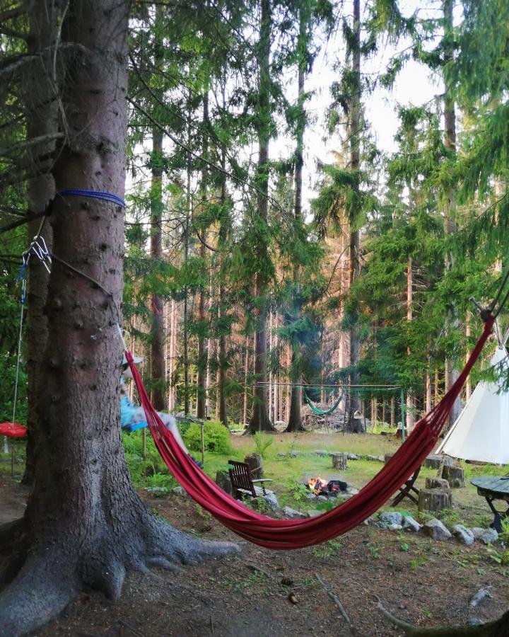 Dame Vam Pokoj - 4 Pokoje Se Sdilenou Kuchyni, Kapacita Max 9 Osob Harrachov Exterior foto